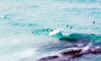 Foto Surfing Bondi-Beach